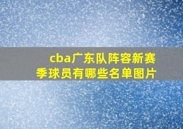 cba广东队阵容新赛季球员有哪些名单图片