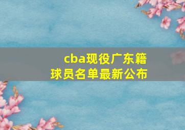 cba现役广东籍球员名单最新公布