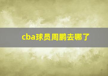 cba球员周鹏去哪了