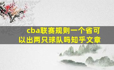 cba联赛规则一个省可以出两只球队吗知乎文章