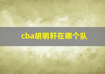 cba胡明轩在哪个队