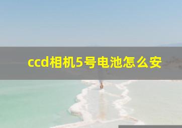 ccd相机5号电池怎么安