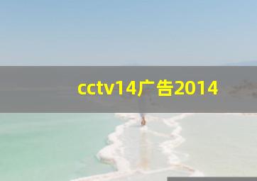 cctv14广告2014