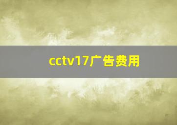 cctv17广告费用