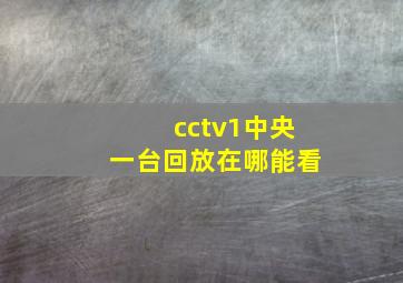 cctv1中央一台回放在哪能看