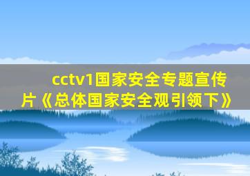 cctv1国家安全专题宣传片《总体国家安全观引领下》