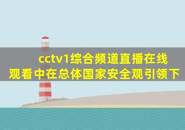 cctv1综合频道直播在线观看中在总体国家安全观引领下