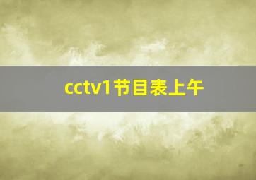 cctv1节目表上午