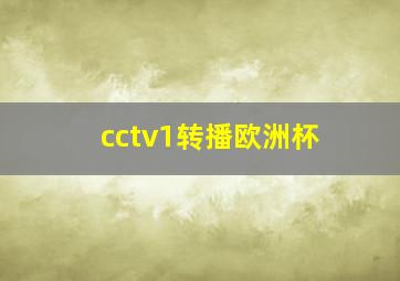 cctv1转播欧洲杯