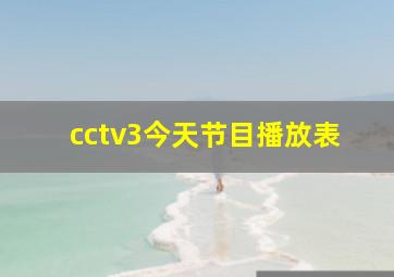 cctv3今天节目播放表