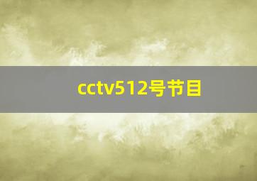 cctv512号节目