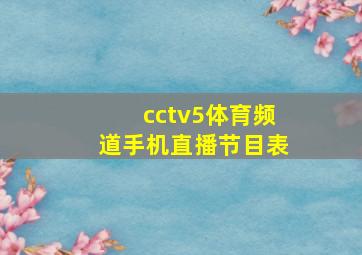 cctv5体育频道手机直播节目表