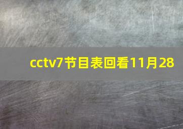 cctv7节目表回看11月28