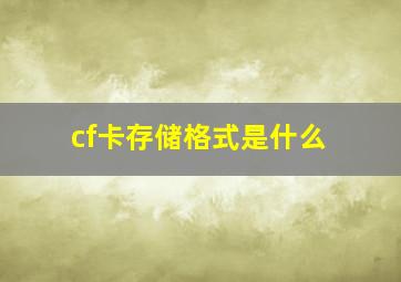 cf卡存储格式是什么