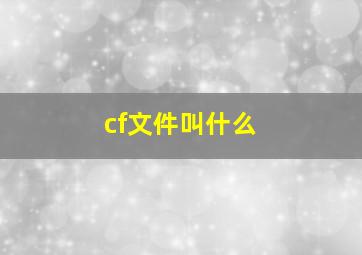 cf文件叫什么