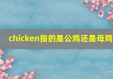 chicken指的是公鸡还是母鸡