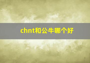 chnt和公牛哪个好