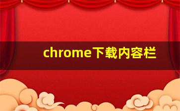 chrome下载内容栏