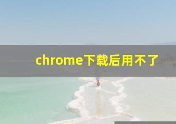 chrome下载后用不了