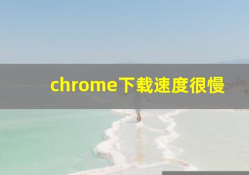 chrome下载速度很慢