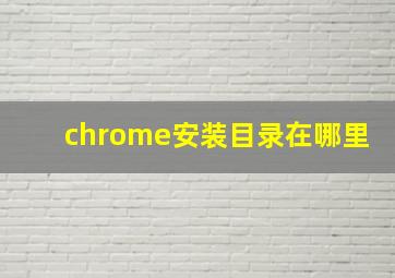 chrome安装目录在哪里