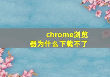 chrome浏览器为什么下载不了