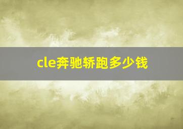 cle奔驰轿跑多少钱