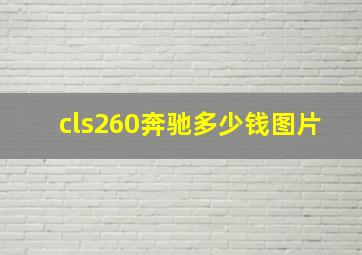 cls260奔驰多少钱图片