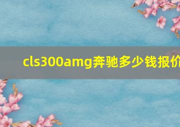 cls300amg奔驰多少钱报价