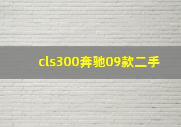 cls300奔驰09款二手