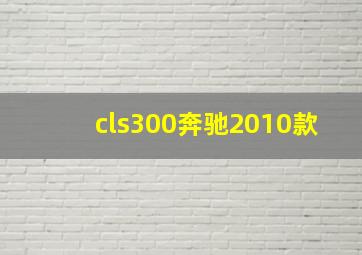 cls300奔驰2010款