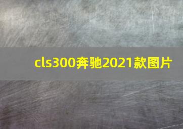 cls300奔驰2021款图片