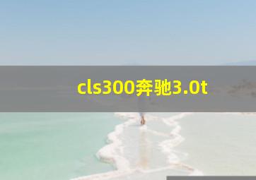 cls300奔驰3.0t