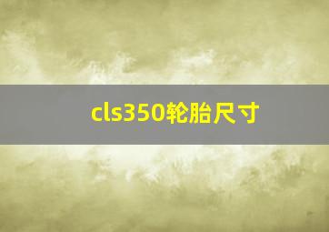 cls350轮胎尺寸