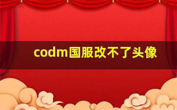 codm国服改不了头像