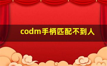 codm手柄匹配不到人