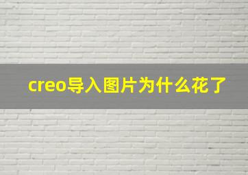 creo导入图片为什么花了