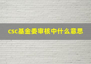 csc基金委审核中什么意思