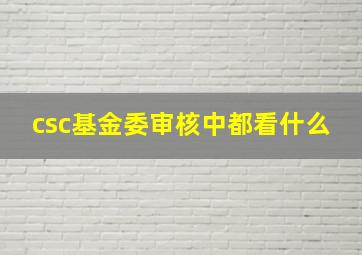 csc基金委审核中都看什么