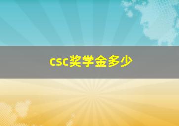 csc奖学金多少