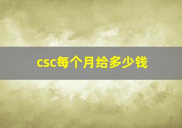 csc每个月给多少钱