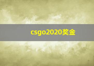 csgo2020奖金