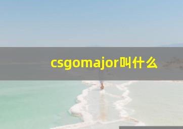 csgomajor叫什么