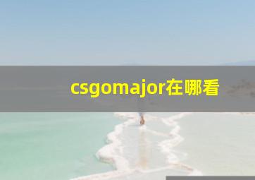 csgomajor在哪看