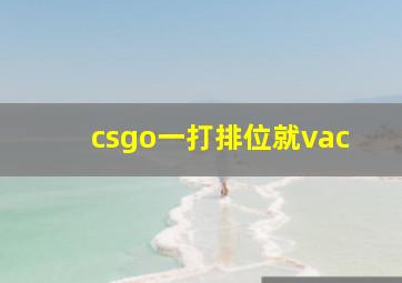 csgo一打排位就vac