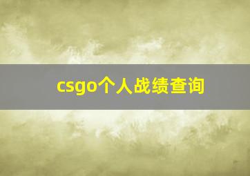 csgo个人战绩查询