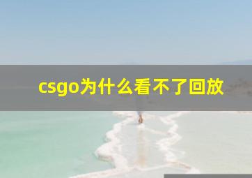 csgo为什么看不了回放