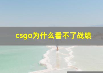 csgo为什么看不了战绩