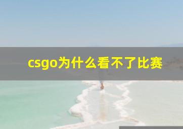 csgo为什么看不了比赛