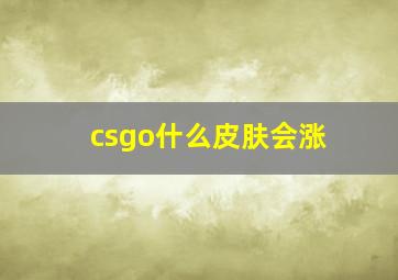 csgo什么皮肤会涨